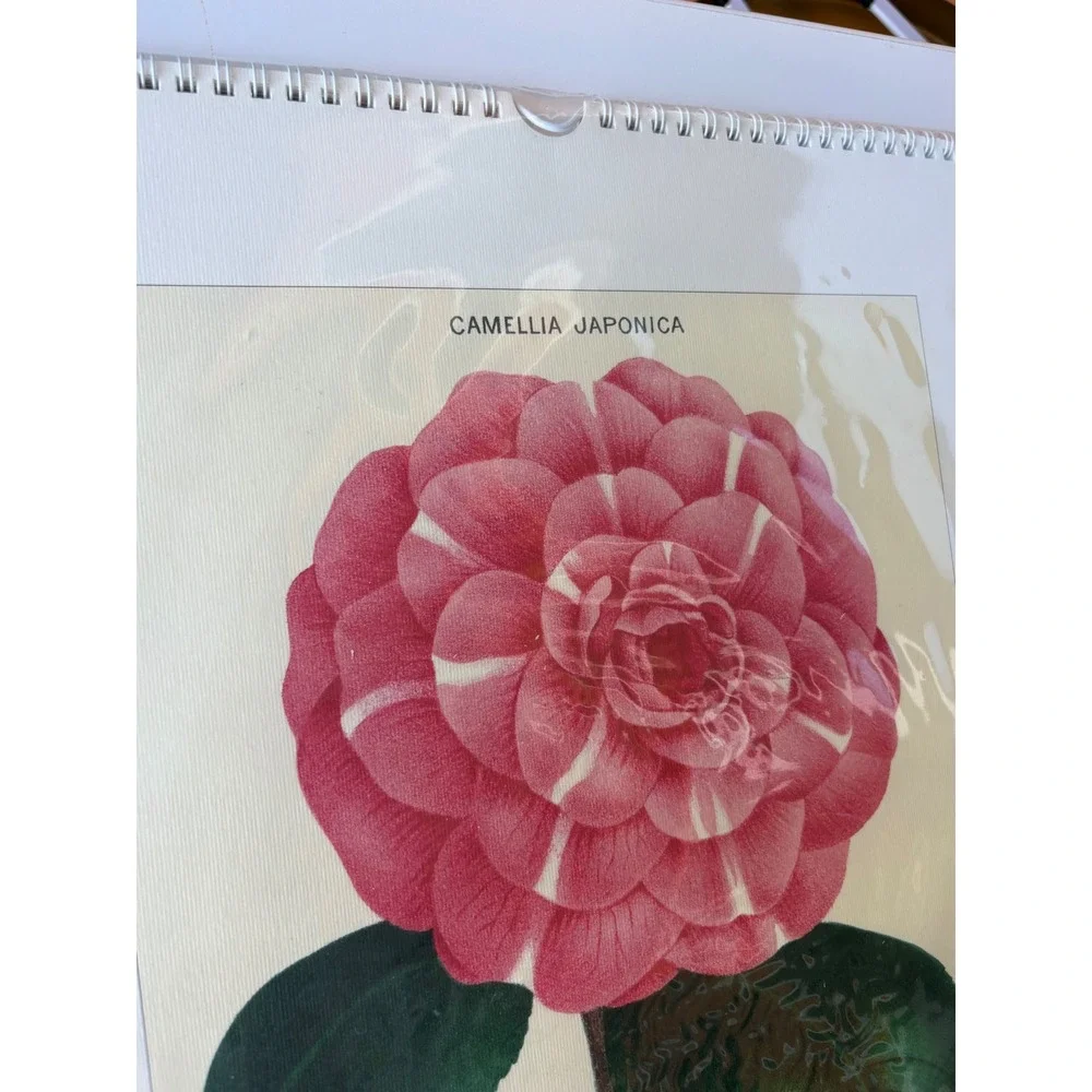 Cavallini & Co Wall Calendar 2024 Botanica Vintage Floral Art Prints New Sealed